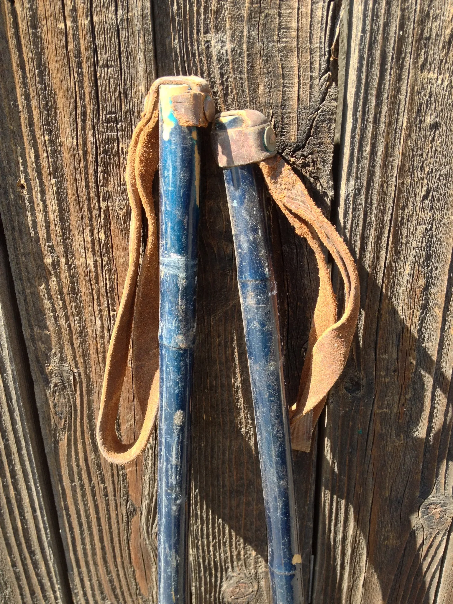 Bamboo Ski Poles - Vintage 1940s